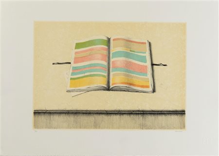 Vilmore Schenardi detto Armodio (Piacenza 1938), “Libro aperto”.