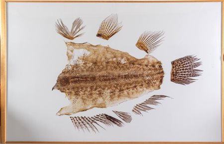 Sabrina Sabato (Napoli 1968), “Pesce fuor d’acqua”, 1997.