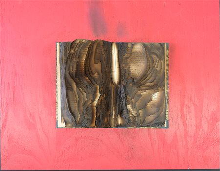 Bernard Aubertin, Livre Brulé, 2009