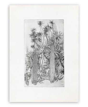 FEDERICA GALLI (1932-2009) - Cactus, 1969