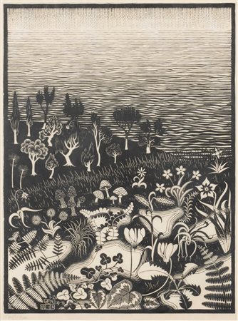 Maurits Cornelis Escher (Leeuwarden 1898-Laren 1972)  - Il Terzo giorno della Creazione, 1926