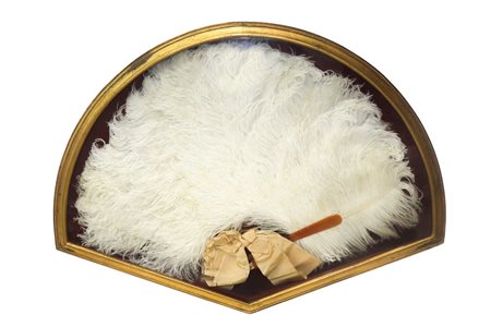 Ventaglio con piume in bacheca, 20° secolo 