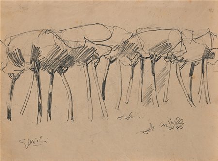 Anonimo del XX secolo Alberi Matita su carta Firma in basso a sinistra...