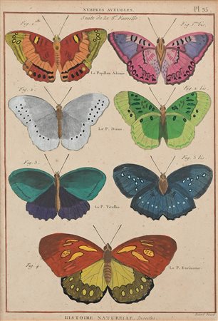 Tre tavole raffiguranti diverse specie di farfalle, prima metà del XIX secolo...