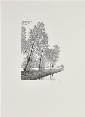 Agostino Zaliani RISAIA acquaforte, cm 34x24, su foglio cm 70x50; es. 61/99...