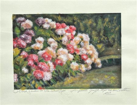 Giuseppe Ciotti Agibecifuturista (1898 - 1991) 
Ortensie 1987
acquarello su carta cm 30 x 39