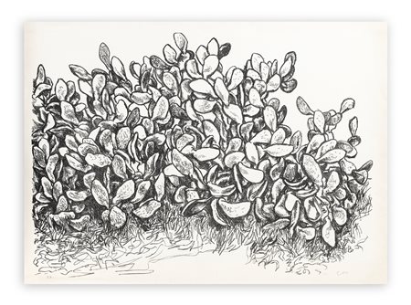 RENATO GUTTUSO (1911-1987) - Fichidindia, 1977