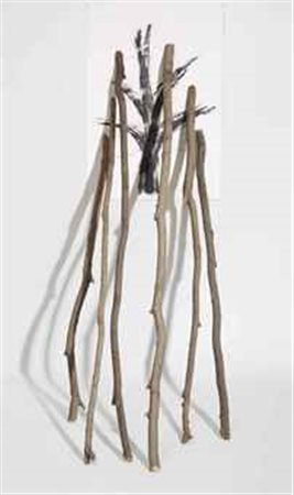 Giuseppe Penone (N. 1947) La velocità del vegetale - Il lento ripetersi della...