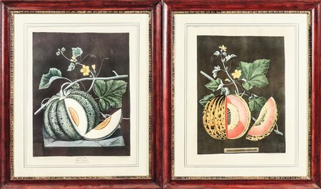 DA GEORGE BROOKSHAW - FROM GEORGE BROOKSHAW Ortaggi - Vegetables coppia di...