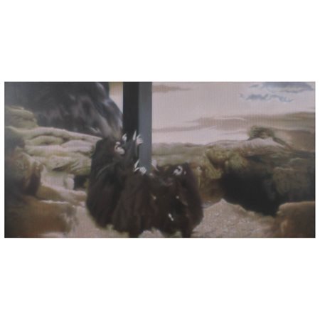 Cristiano Pintaldi Roma 1970 110x220 cm.