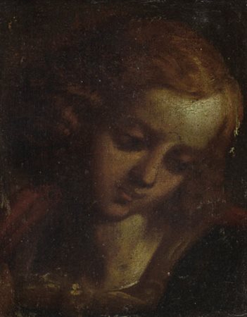 PITTORE DEL XVIII SECOLO Testa di fanciullo Olio su tela, cm 16x13; frammento...