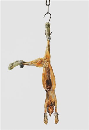 PISTOLETTO Michelangelo Biella 1933 Coniglio appeso, 1973 serigrafia a colori...