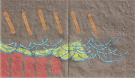 GRIFFA Giorgio Torino 1936 Azzurro ricurvo, 2007 acrilico su tela cm. 64 x...