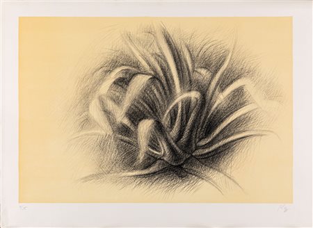 Dieter Kopp (Prien am Chiemsee 1939-0) Agave Litografia cm 51x70 Firma e...