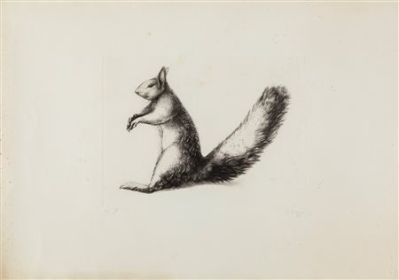 Dieter Kopp (Prien am Chiemsee 1939-0) Scoiattolo 1977 Acquaforte cm 50x70...
