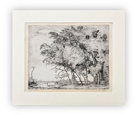 CINO BOZZETTI (1876-1949) - Il bosco in riva alla Bormida - Mattino