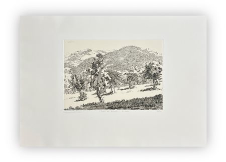 LEONARDO CASTELLANI (1896-1984) - Filari ad Apecchio, 1951