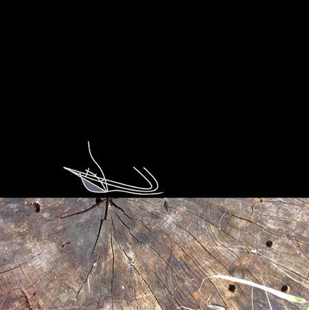 Santo Lavorato, I silenzi della notte