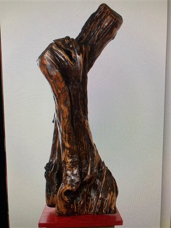 Daniela Bartolini, Fiamma