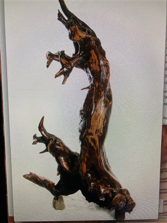 Daniela Bartolini, Siretalia