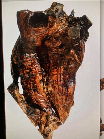 Daniela Bartolini, Da dove veniamo Cosa siamo Dove andiamo