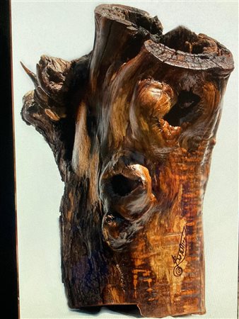 Daniela Bartolini, Come un Silene Socrate