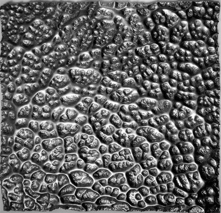 Annamaria Malvasi, Stomaco