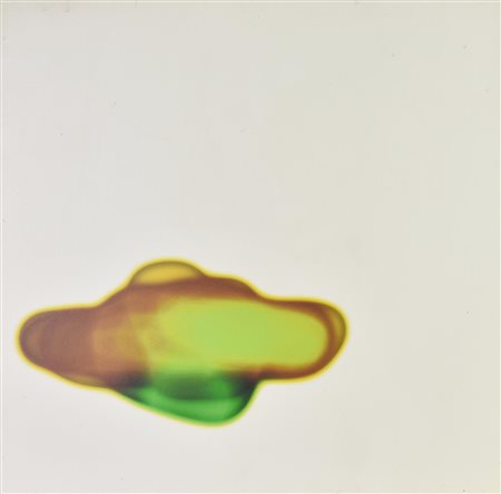 Rafael Molina Pareja L'ARTE VISTA DALLA LUNA.PARTICOLARE TOPOGRAFICO, 2004...