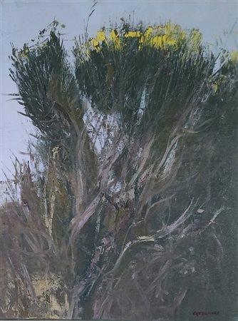 CAZZANIGA GIANCARLO Monza (Mb) 1930 Ginestre Olio su tela 40,00x30,00 Firma...