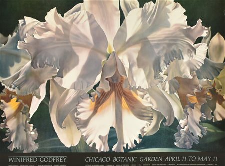 WINIFRED GODFREY manifesto cm 60x100 per la mostra Winifred Godfrey tenutasi...