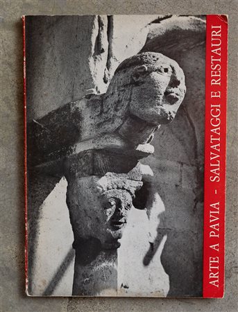 Arte a Pavia. Salvataggi e restauri
