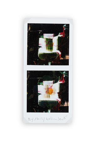 MAURIZIO GALIMBERTI (1956) - BiFlowers