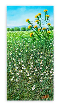 GIOVANNI DAUREA (1955) - Cardi Gialli