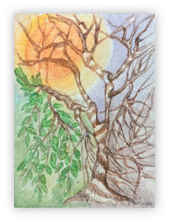 LICIA MANTOVANI - Senza Titolo, 2006