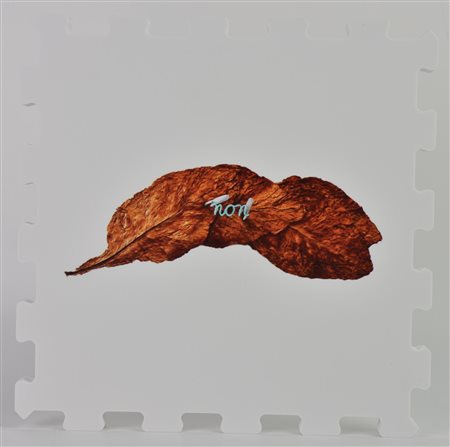 Pier Paolo Calzolari (1943) NON stampa UV su FX high quality bianco, cm...