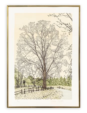 FEDERICA GALLI (1932-2009) - Senza Titolo