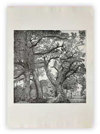 FEDERICA GALLI (1932-2009) - Parco di Racconigi, 1994