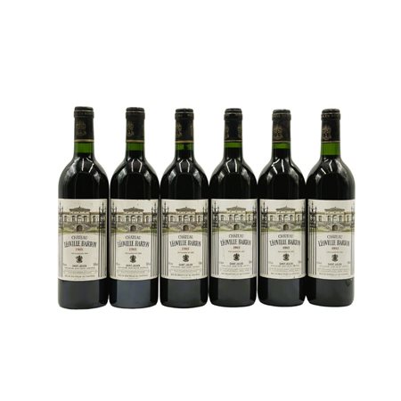  
Château Léoville Barton 1988-1992
France-Saint-Julien 0,75