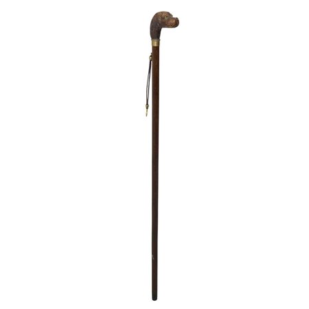 Bastone di legno con impugnatura a testa di cane con occhi di vetro