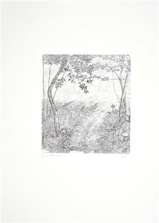 PIAZZA FRANCESCO Venezia 1931 Strade sul Montello 1985 acquaforte es. p.d.a....