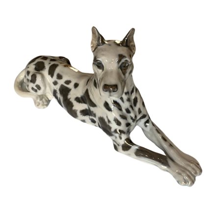 Royal Copenaghen Denmark. Alano Arlecchino seduto, circa 1970.