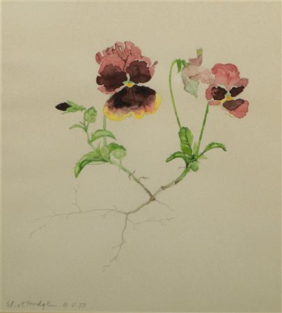 Eliot Hodgkin (Purly on Thames 1905 - 1987 London), Violets with Roots,...