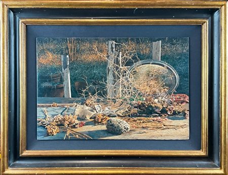 Giuseppe Banchieri "Natura morta" 1989
olio e tecnica mista su compensato
cm 30x