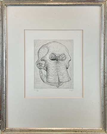 Henry Moore "Elephant Skull n. 1" 1969
acquaforte
(lastra cm 25x20; foglio cm 50