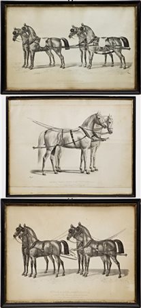 Lemercier & Cie, Brice Thomas, secolo XIX. "Harnais franco-russe pour trotteurs