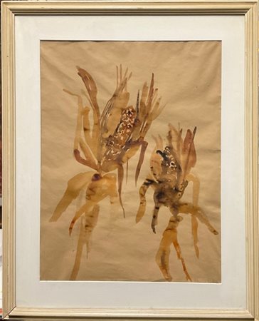 Adriana Pincherle "Pannocchie" acquarello su carta (cm 60x46) firmato in basso a