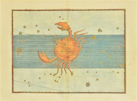 CANCRO stampa su carta, cm 32x43 L'opera presenta macchie di umidita' puntiformi