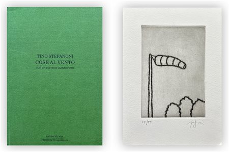 CATALOGHI CON OPERE ALL'INTERNO (STEFANONI) - Tino Stefanoni. Cose al vento, 1995