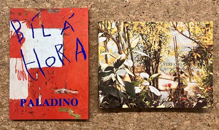 STEFANO ARIENTI E MIMMO PALADINO - Lotto unico di 2 cataloghi