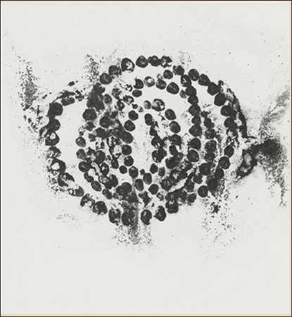 OTHONIEL JEAN-MICHEL Francia 1964 "Le rose du Louvre"